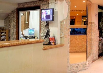 Foto 23 - Hotel Cesenatico - foto 23