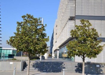 Foto 5 - Ufficio NET CENTER - PADOVA EST, Padova - foto 5