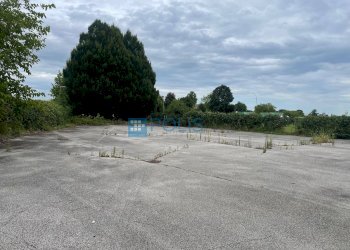 Foto 8 - Capannone VIA  DELL'ARTIGIANATO, Pernumia - foto 8