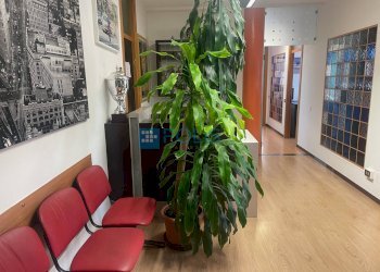 Foto 2 - Ufficio Via della Croce Rossa, Padova - foto 2