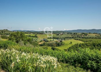 Foto 31 - Casa indipendente Palombardo
 
Snc, Todi - foto 31