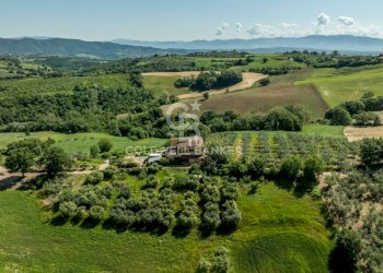 Foto 32 - Casa indipendente Palombardo
 
Snc, Todi - foto 32