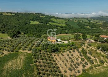 Foto 34 - Casa indipendente Palombardo
 
Snc, Todi - foto 34