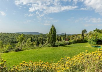 Foto 17 - Castello Vocabolo Monticchi
 
35, Allerona - foto 17