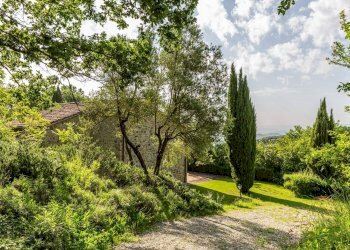 Foto 28 - Castello Vocabolo Monticchi
 
35, Allerona - foto 28