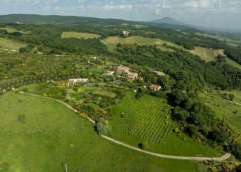 Foto 61 - Castello Vocabolo Monticchi
 
35, Allerona - foto 61