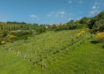 Foto 76 - Castello Vocabolo Monticchi
 
35, Allerona - foto 76