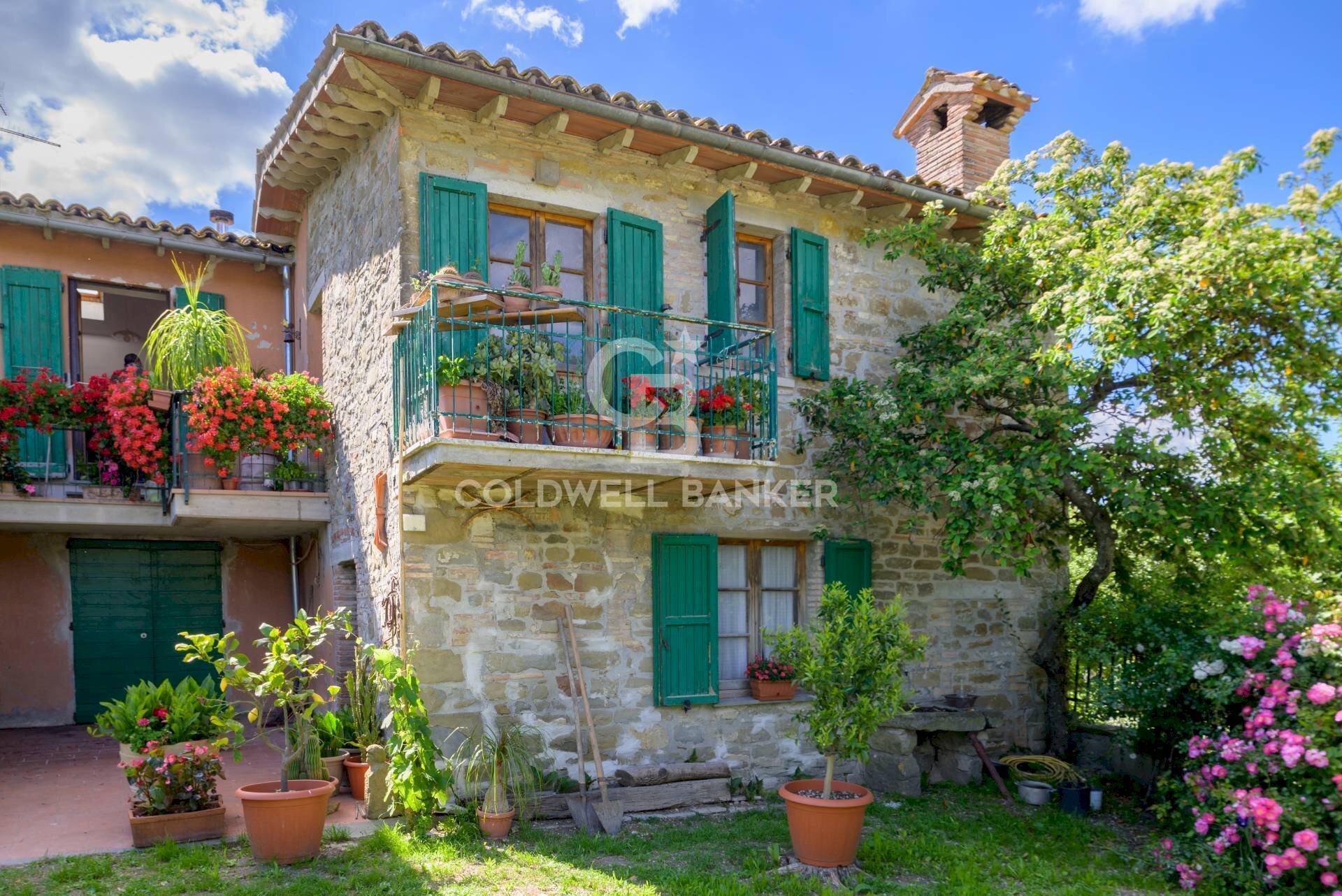 Foto 3 - Rustico Fraz. Monteluiano
 
sns, Gubbio - foto 3