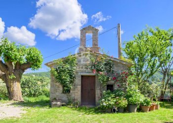 Foto 4 - Rustic Fraz. Monteluiano
 
sns, Gubbio - photo 4