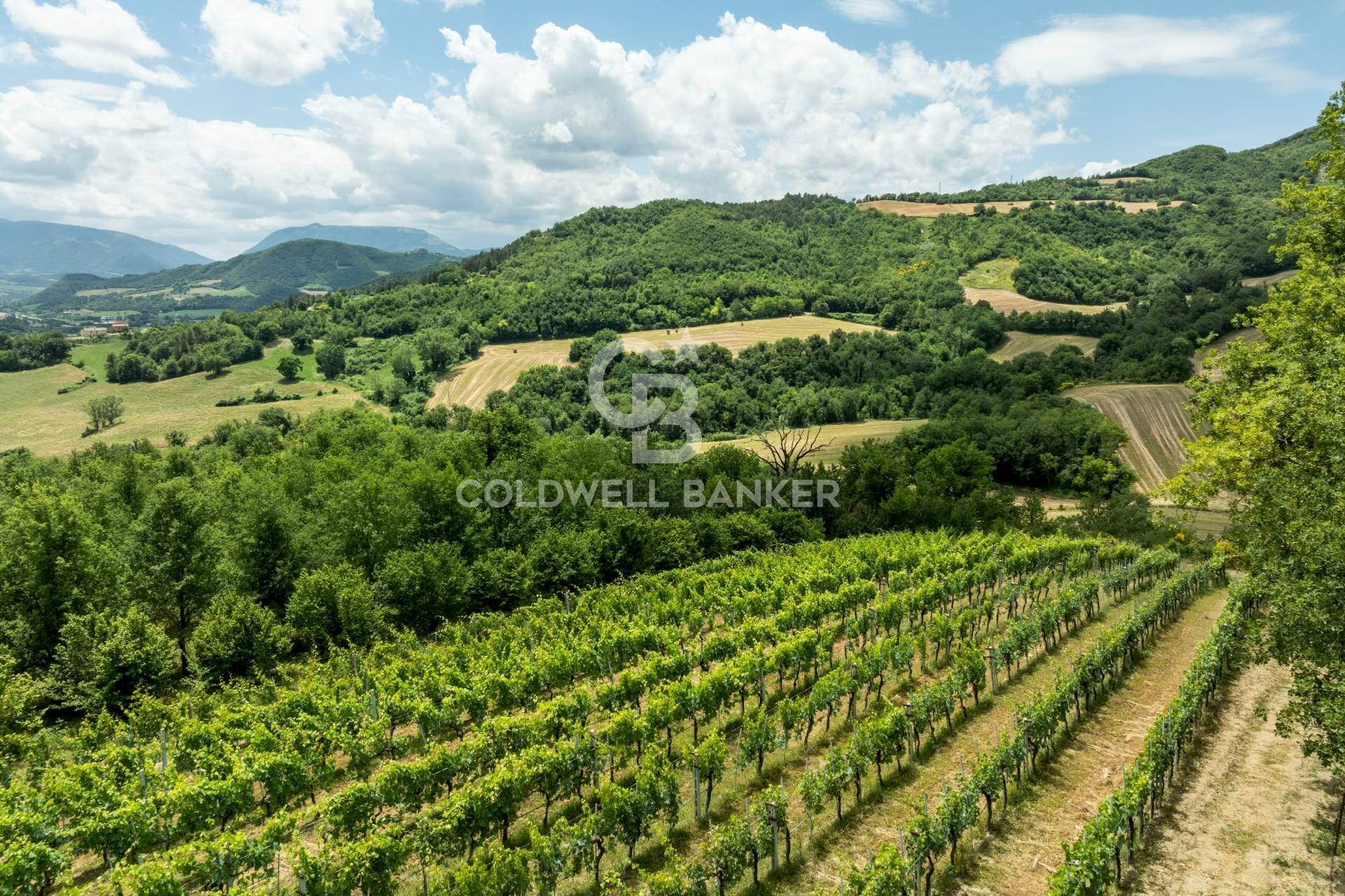 Foto 3 - Rustic Fraz. Vocabolo Cà Lupaccino
 
snc, Acqualagna - photo 3