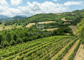 Foto 3 - Rustico Fraz. Vocabolo Cà Lupaccino
 
snc, Acqualagna - foto 3