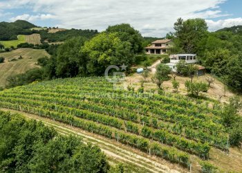 Foto 18 - Rustico Fraz. Vocabolo Cà Lupaccino
 
snc, Acqualagna - foto 18