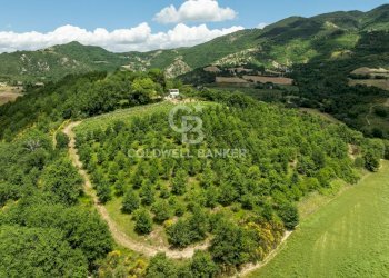 Foto 26 - Rustico Fraz. Vocabolo Cà Lupaccino
 
snc, Acqualagna - foto 26