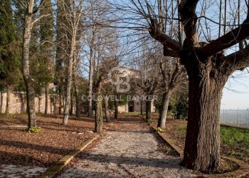 Foto 11 - Stabile - Palazzo Loc. Loreto Alto
 
SNC, Gubbio - foto 11