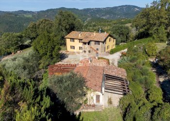 Foto 9 - Rustico Località Belvedere, Gubbio - foto 9