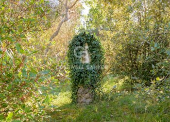 Foto 43 - Rustico Località Belvedere, Gubbio - foto 43