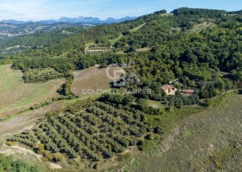 Foto 55 - Rustico Località Belvedere, Gubbio - foto 55