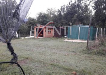 Foto 17 - Terreno agricolo Via Delle Viole, Piossasco - foto 17