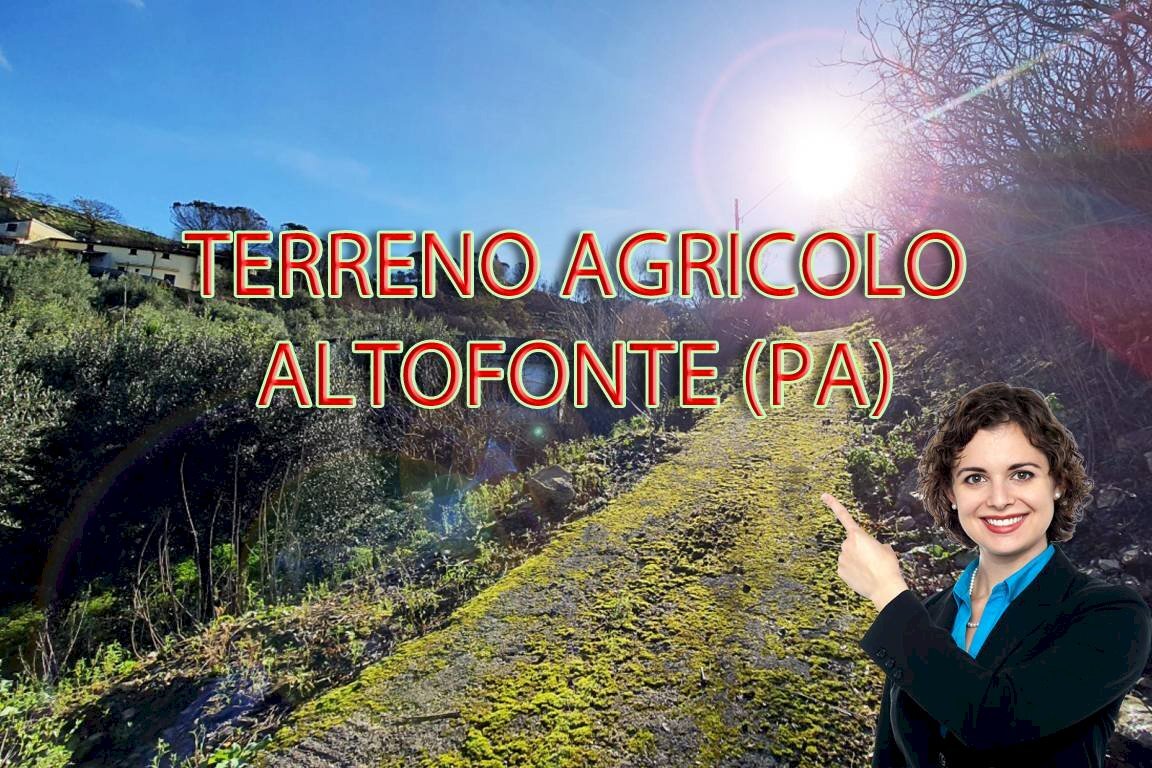 Foto 1 - Agricultural land via ferrovia est
 
116, Altofonte - photo 1