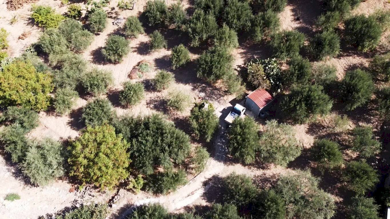 Foto 3 - Agricultural land via ferrovia est
116, Altofonte - photo 3