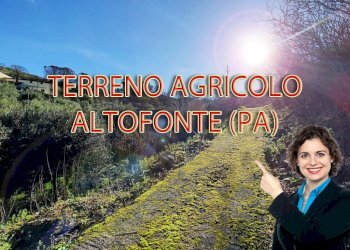 Foto 1 - Terreno agricolo via ferrovia est
 
116, Altofonte - foto 1