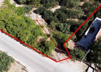 Foto 2 - Terreno agricolo via ferrovia est
 
116, Altofonte - foto 2