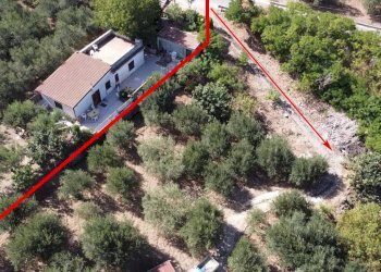 Foto 5 - Terreno agricolo via ferrovia est
 
116, Altofonte - foto 5