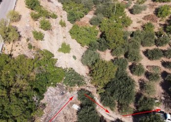 Foto 6 - Terreno agricolo via ferrovia est
 
116, Altofonte - foto 6