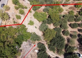 Foto 7 - Terreno agricolo via ferrovia est
 
116, Altofonte - foto 7