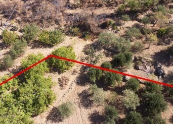 Foto 9 - Terreno agricolo via ferrovia est
 
116, Altofonte - foto 9