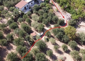 Foto 10 - Terreno agricolo via ferrovia est
 
116, Altofonte - foto 10