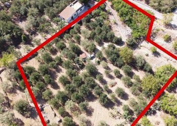 Foto 12 - Terreno agricolo via ferrovia est
 
116, Altofonte - foto 12