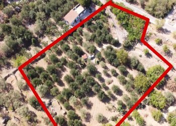 Foto 14 - Terreno agricolo via ferrovia est
 
116, Altofonte - foto 14