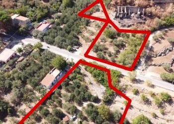 Foto 15 - Terreno agricolo via ferrovia est
 
116, Altofonte - foto 15