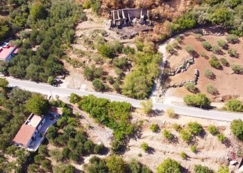 Foto 16 - Terreno agricolo via ferrovia est
 
116, Altofonte - foto 16