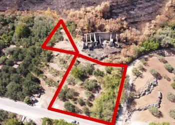 Foto 17 - Terreno agricolo via ferrovia est
 
116, Altofonte - foto 17