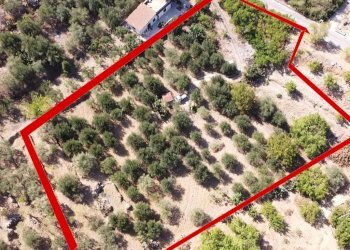 Foto 19 - Terreno agricolo via ferrovia est
 
116, Altofonte - foto 19