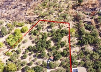 Foto 20 - Terreno agricolo via ferrovia est
 
116, Altofonte - foto 20