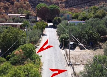 Foto 24 - Terreno agricolo via ferrovia est
 
116, Altofonte - foto 24