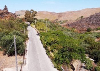 Foto 26 - Terreno agricolo via ferrovia est
 
116, Altofonte - foto 26