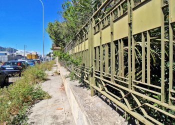 Foto 36 - Capannone Via Ingham
 
23, Palermo - foto 33