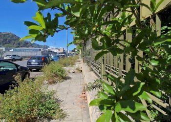 Foto 37 - Capannone Via Ingham
 
23, Palermo - foto 34