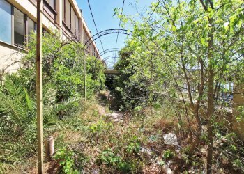 Foto 44 - Capannone Via Ingham
 
23, Palermo - foto 41