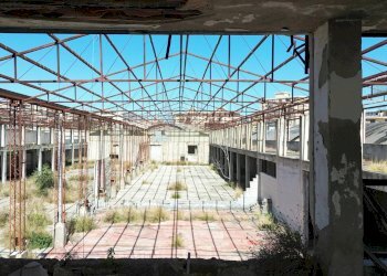 Foto 68 - Capannone Via Ingham
 
23, Palermo - foto 65