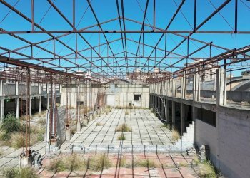 Foto 70 - Capannone Via Ingham
 
23, Palermo - foto 67