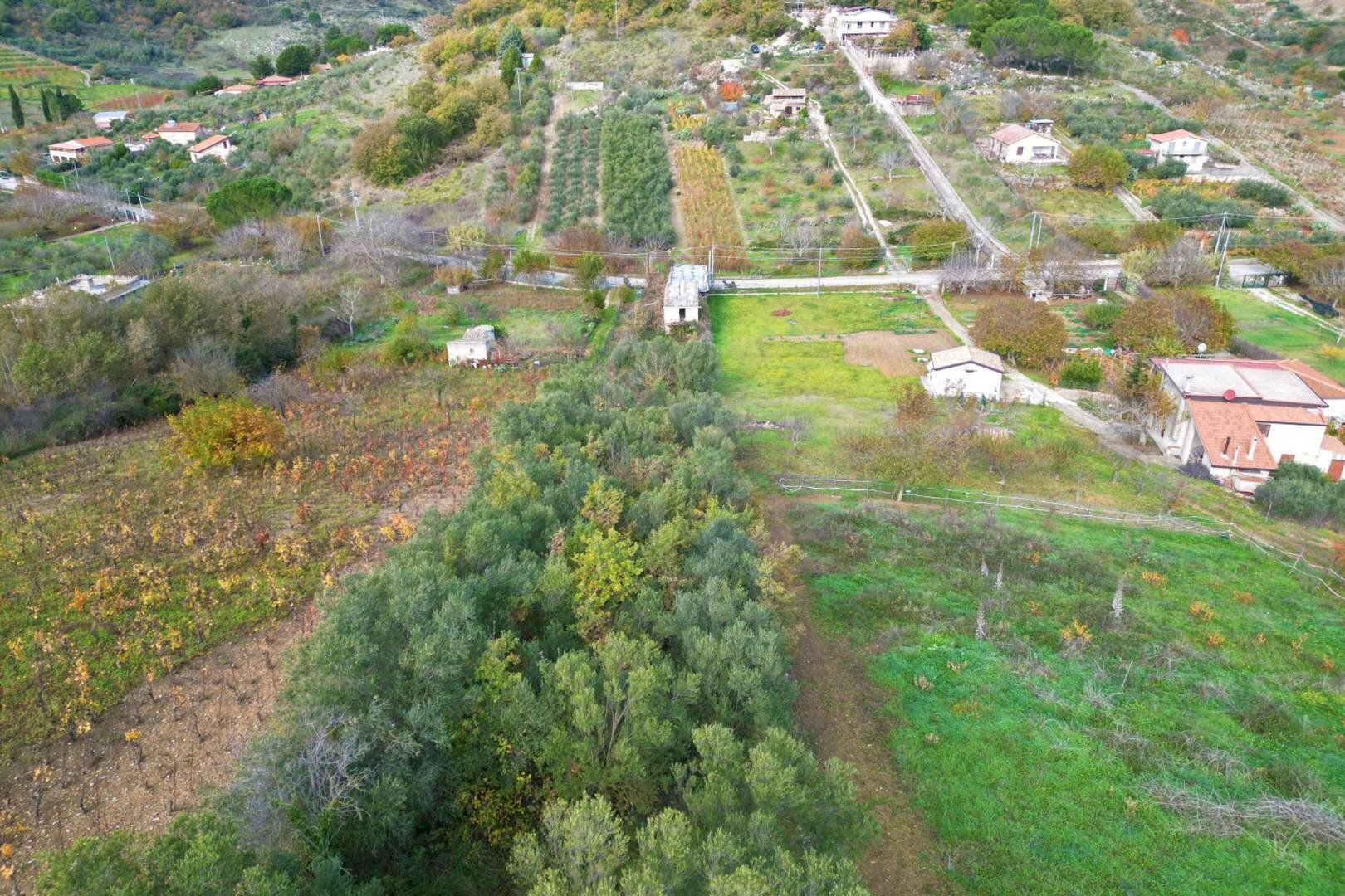 Foto 4 - Terreno agricolo via rebuttone
 
64, Altofonte - foto 3