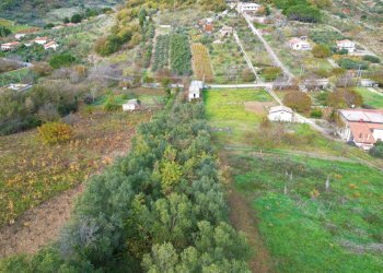 Foto 4 - Terreno agricolo via rebuttone
 
64, Altofonte - foto 3
