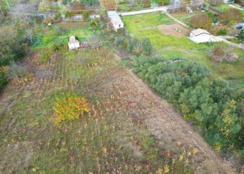 Foto 6 - Terreno agricolo via rebuttone
 
64, Altofonte - foto 5