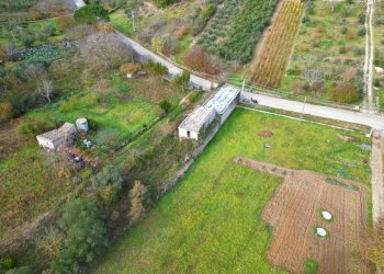 Foto 10 - Terreno agricolo via rebuttone
 
64, Altofonte - foto 9