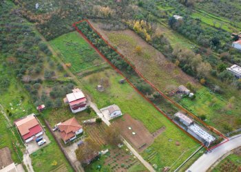 Foto 13 - Terreno agricolo via rebuttone
 
64, Altofonte - foto 12